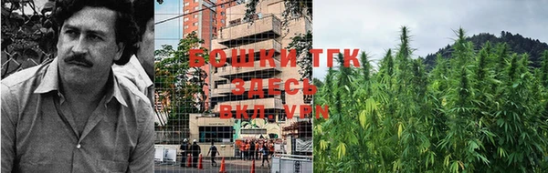шишки Лихославль