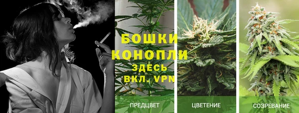 соль курить ск Липки