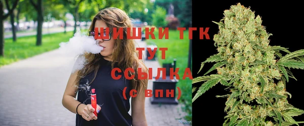 дмт Магас