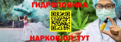 индика Гусь-Хрустальный