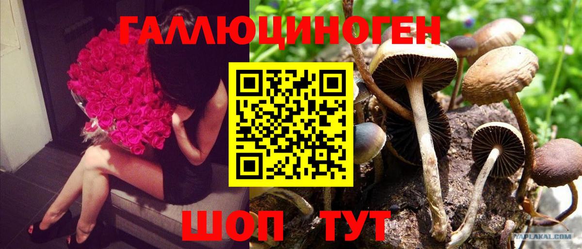 Галлюциногенные грибы Cubensis  Галлюциногенные грибы MAGIC MUSHROOMS  Вход с VPN  Дубна 