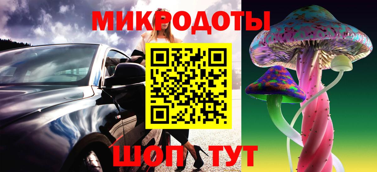 купить  цена  Дубна  Галлюциногенные грибы GOLDEN TEACHER 