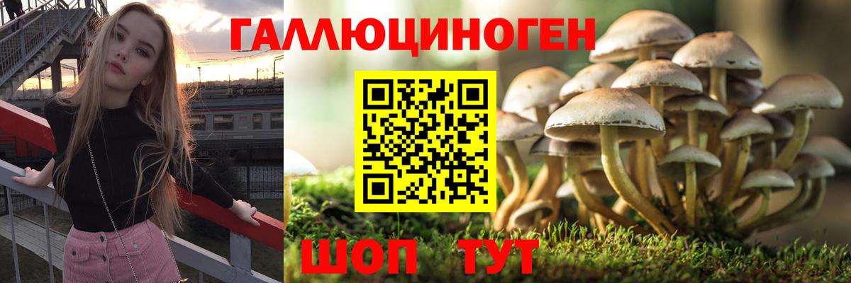 ГАШИШ Дубна