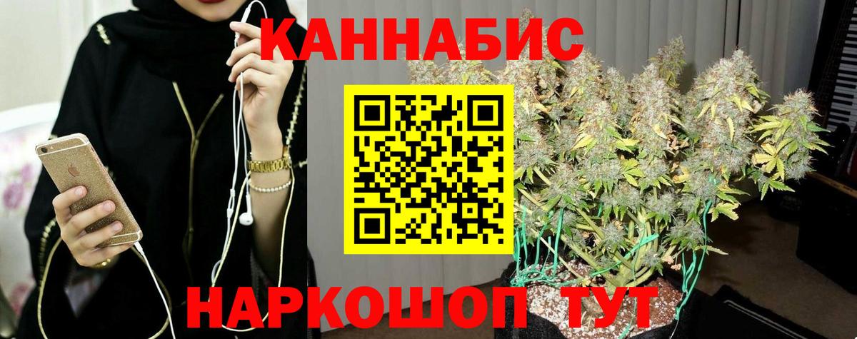 Бошки Шишки MAZAR Дубна