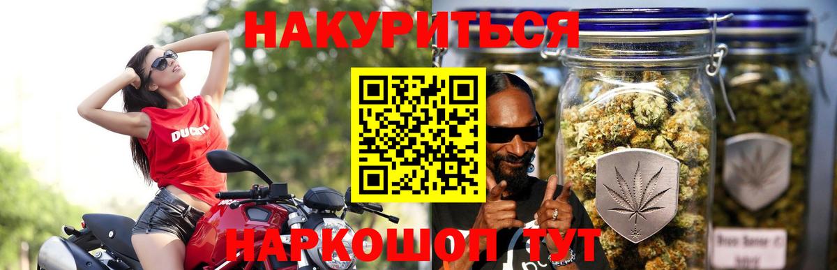 Конопля сатива Дубна